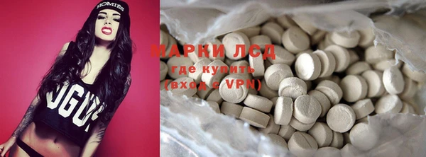 гашик Аркадак