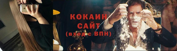 гашик Аркадак
