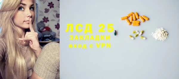 гашик Аркадак