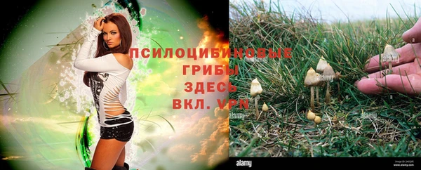 мет Арсеньев