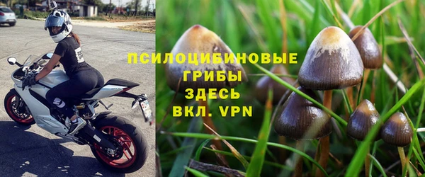мет Арсеньев